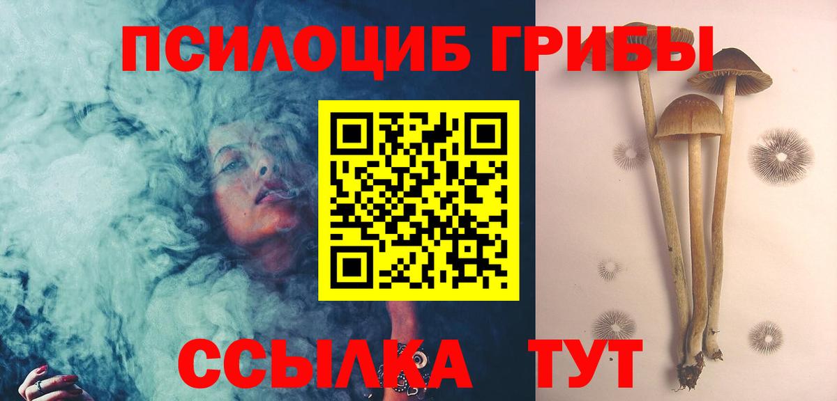 Тобольск  Псилоцибиновые грибы прущие грибы  Вход с VPN  Псилоцибиновые грибы ЛСД 